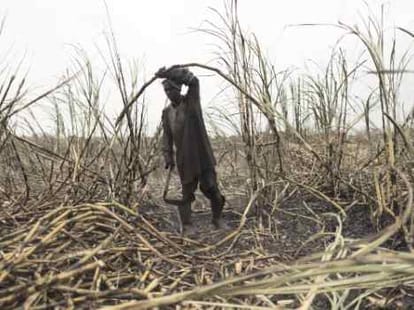 parties planning for movement for cane farmers.