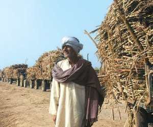 vidhansabha warmed on sugarcane payment