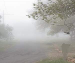 Dense fog over parts of Delhi; breaks on speed