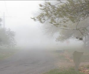 because of fog, many planes are late