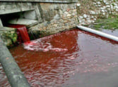 Saraswati River