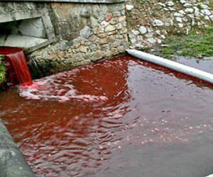 The river of blood