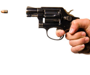 Fake Arms License