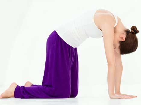 marjari asana for flat tummy