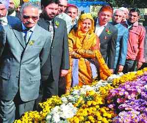 253 Variety of flowe in Taresd Garden at chandigarh