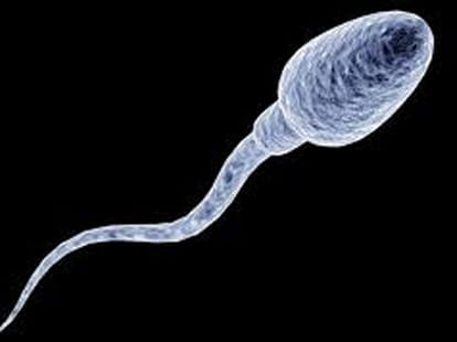 sperm_woman_plea
