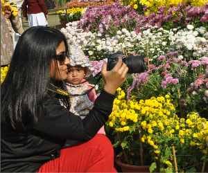 guldaudi show at chandigarh
