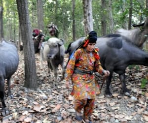 forest gujjar in realm of BPL