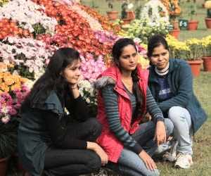 flower show 