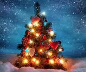 christmas celebration