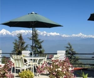 lansdon prepare for new year celebration