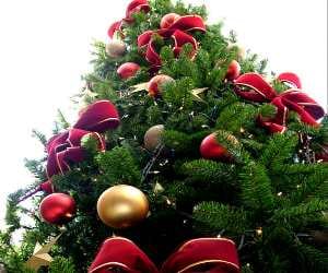 christmas_hotels_packages_chandigarh