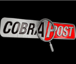 kobra post sting operation on mp
