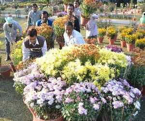 flower show at PU from today