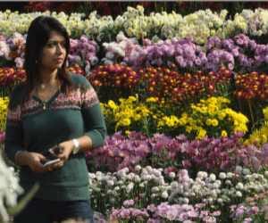flower show at pu