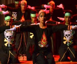 IPU fest held on february 14th