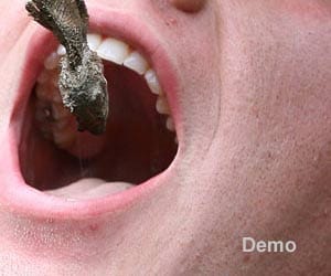 kailash of mp drinks broth of lizards