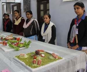 taringini 2013