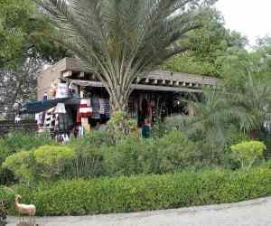 Dilli Haat is one destination for all Indian states