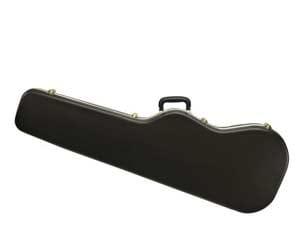 cold and naked man spends night in guitar case