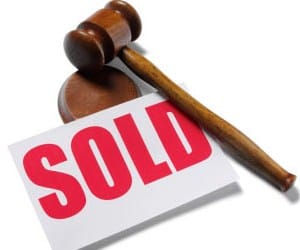 exhibition ground_winter mela_auction_nagar nigam
