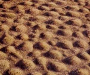 mima_mounds