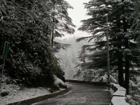 weekend planner mussoorie