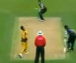 cricket video