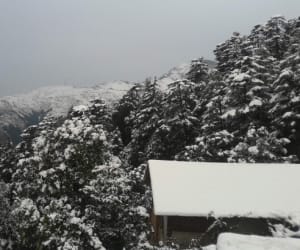Fresh snowfall closes highway again