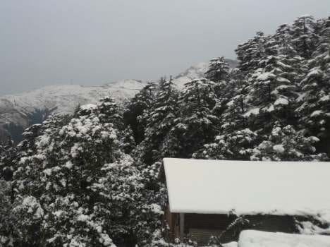 snowfall will welcome new year