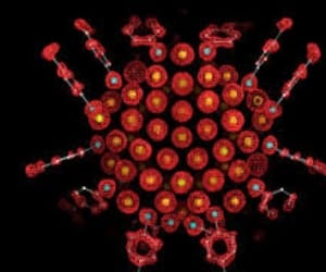 nano particle