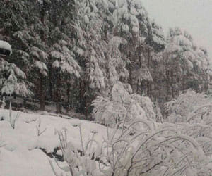 109 year old shimla kalka track in danger