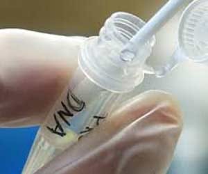 MP: court DNA test order