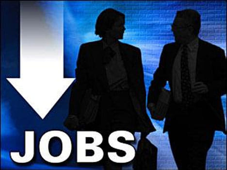 If you need job came mandi on 20 july