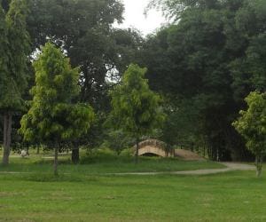 four G with beautiful park