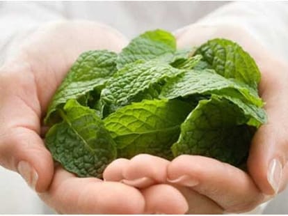 quick home remedies to prevent body odor