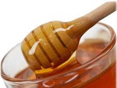 honey antibacterial qualities explored