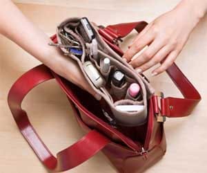 purse snaching in chandigarh