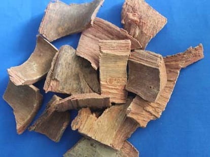 ayurvedic remedies to improve sex power