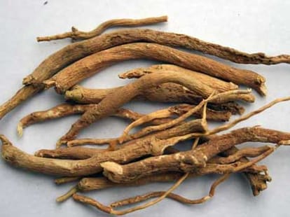 ayurvedic remedies to improve sex power