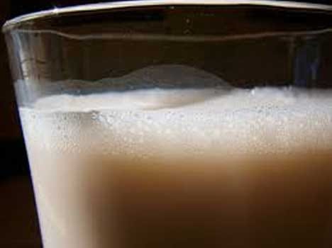 pro biotic milk new substitute of milk