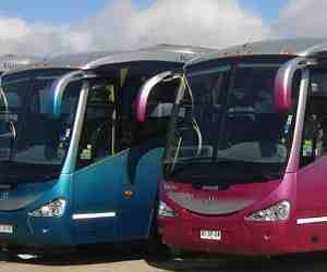new bus service for delhi