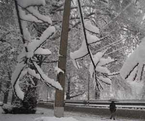 snowfall in himachal