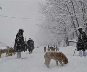 snowfall in chamba and kinnaur