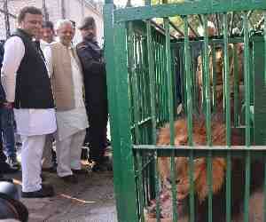 cm visit to zoo
