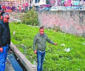 Coloniser active after code of conduct implemented