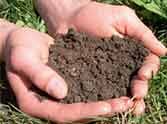 Seven and soil testing Centre sought to establish