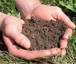 soil testing now in city