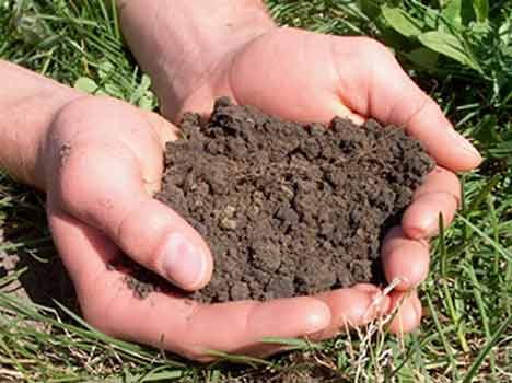 soil testingcampaign run by agriculuture department