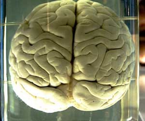 Charles Steals Brains